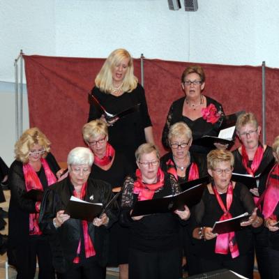Nieuwleusen 2015004